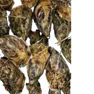 AMELIE N°2 CONCOVA OYSTER (per kg)