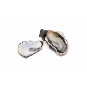 OYSTER CONC.SP.PRIEUR BRIAN N 3 (per kg)