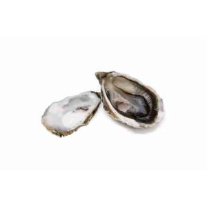 CONCAVE OYSTER SP.ROUMEGOUS N3 X24 (per kg)