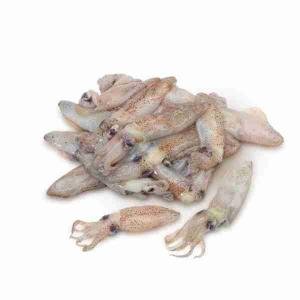 WOFCO SQUID LACE 1 KG