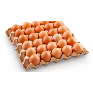 EGGS 53-63GR CAT.A MEDIUM PARISE x 90