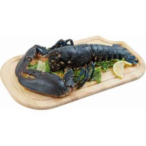 FRESH BLUE LOBSTER (per kg)