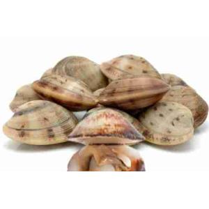 CLAMS WITH WHITE SHELL 60/80 1 KG