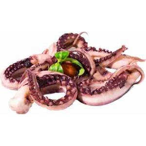 TOTANO GIGANTE TENTACOLO INTERO 2000/3000 7 KG