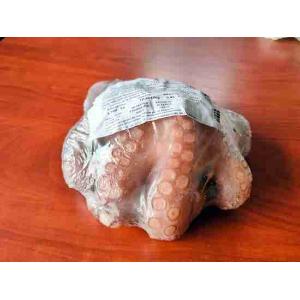 OCTOPUS 500/800 IWP MOROCCO (per kg)