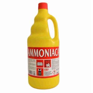 AMMONIA MARGO' 2 LT