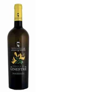 VIN BLANC TERRA DI GINESTRE ANCIEN VIGNOBLE 75 CL