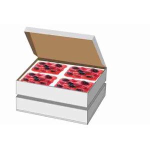 QUADRAT BEEREN 680 GR