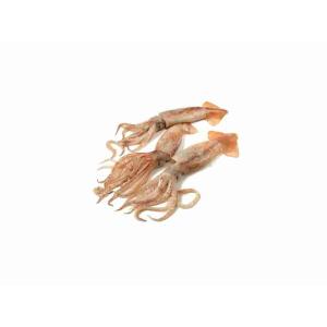 WHOLE LOCAL FRESH SQUID PER KG (per kg)