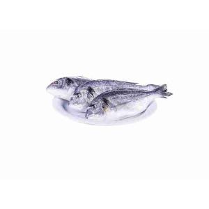 FRESH SEA BREAM 1500/2000 (per kg)