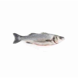 SEA BASS/BASS 2000+ (per kg)