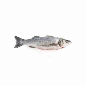 SEA BASS/BASS 3000+ (per kg)