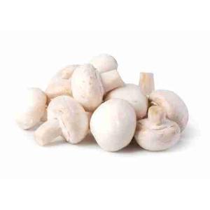 CHAMPIGNONS DE CHAMPIGNON ENTIER TORNESE 350 GR