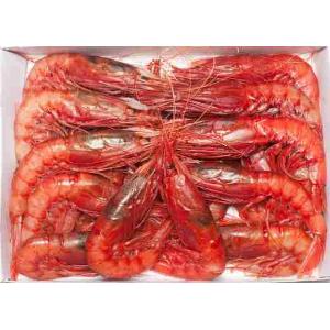 CREVETTE ROUGE MAZARA IV MAZARA 1 KG