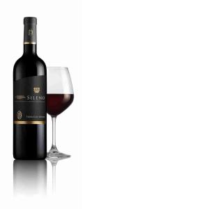 VINO ROSSO RISERVA SILENO FERRUCCIO DEIANA 75 CL