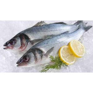 SEA BASS (per kg)