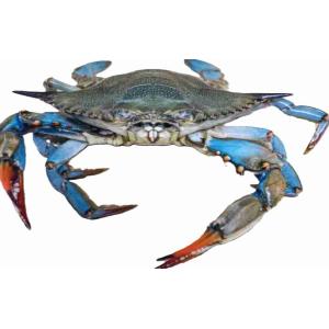 BLUE CRAB (per kg)