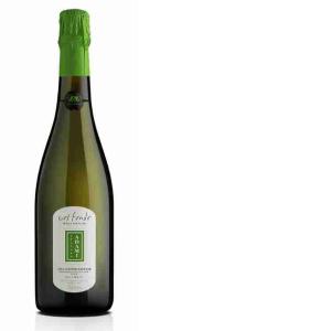 PROSECCO COL FONDO ADAMI 75 CL