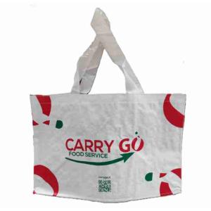 CARRYGO REUSABLE BAG CM 58X38X36