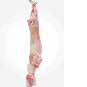 AGNELLO BUSTO 6/7 KG CON TESTA (al kg)