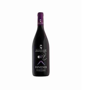 YOUNG RED WINE OF ANCIENT VINE 75 CL