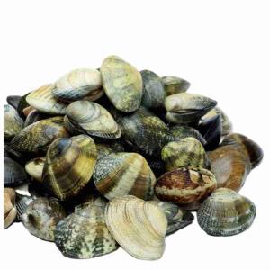 GANZE ECHTE MUSCHELN VAR.MEDI 1 KG