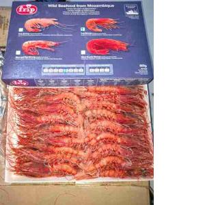 GAMBERO ROSSO MOZAMBICO TAGLIA L BORDO 20/30 FRIP