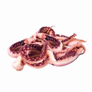 TENTACOLI DI TOTANO GIGANTI