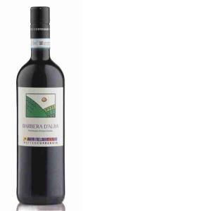 VINO ROSSO BARBERA D'ALBA CORREGGIA 75 CL