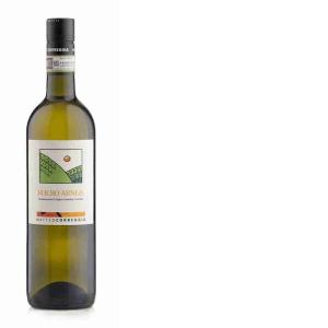 VINO BIANCO ARNEIS CORREGGIA 75 CL