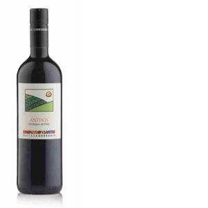 VINO ROSSO ANTHOS BRACHETTO CORREGGIA 75 CL