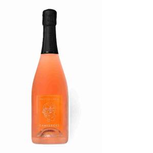 SPUMANTE ROSE' AMMONITES CAMILUCCI 75 CL