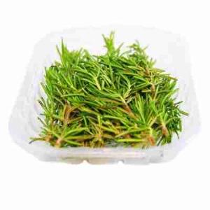 ROSEMARY TORNESE 30 GR