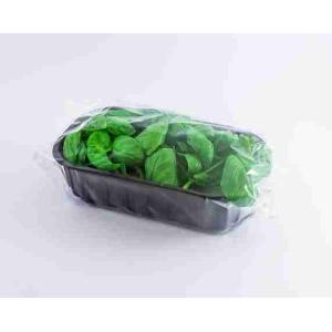 TORNESE BASIL 30 GR