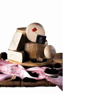 PECORINO IL PIACERE CON TRUFA PALLOTTINO ROCCA T.