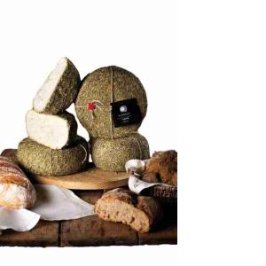 PECORINO IL PETROSO SAISON IN DER HÖHLE SCOD....