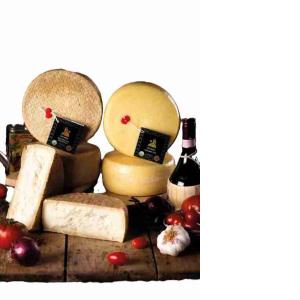 PECORINO STAGIONATO TOSCANO DOP ROCCA TOSCANO