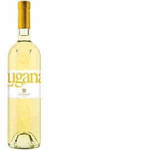 VINO BIANCO LUGANA DOP CA'MAIOL 75 CL