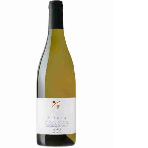 VINO BIANCO PLANTA TERCIC 75 CL