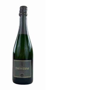 SPUMANTE TERRE BRUT METODO CLASS TERRE DI SAN VITO