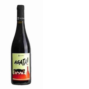 VINO ROSSO AGATA ACINO 0,75 LT