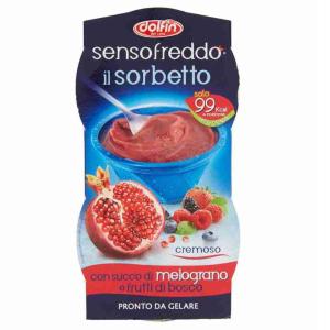 SENSO FREDDO SORBETTO MELOGRANO DOLFIN 100 ML x 2