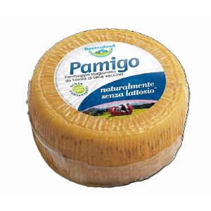 FORMAGGIO PAMIGO BAYERNLAND (al kg)