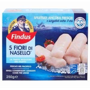 FLEURS DE MERLU FINDUS 250 GR x 5