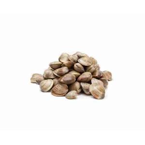 Gekochte braune Venusmuscheln 60/80 1 kg