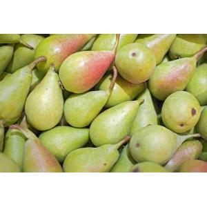 BIRNENSCHEIBEN (pro kg)