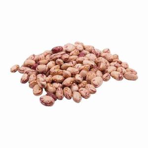 FRIJOLES BORLOTTI SECOS (por kg)