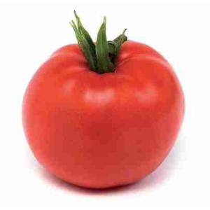 TOMATE RONDE LISSE (le kg)