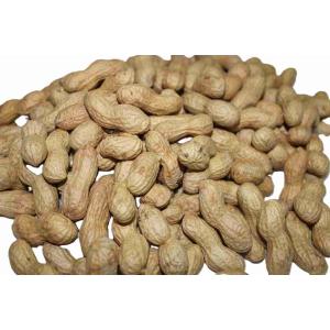 MANÍ TOSTADO EGIPTO (por kg)