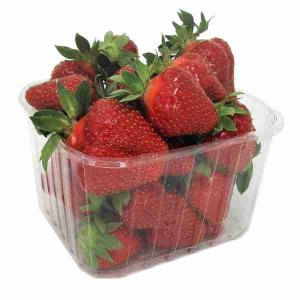 ERDBEEREN 500 GR